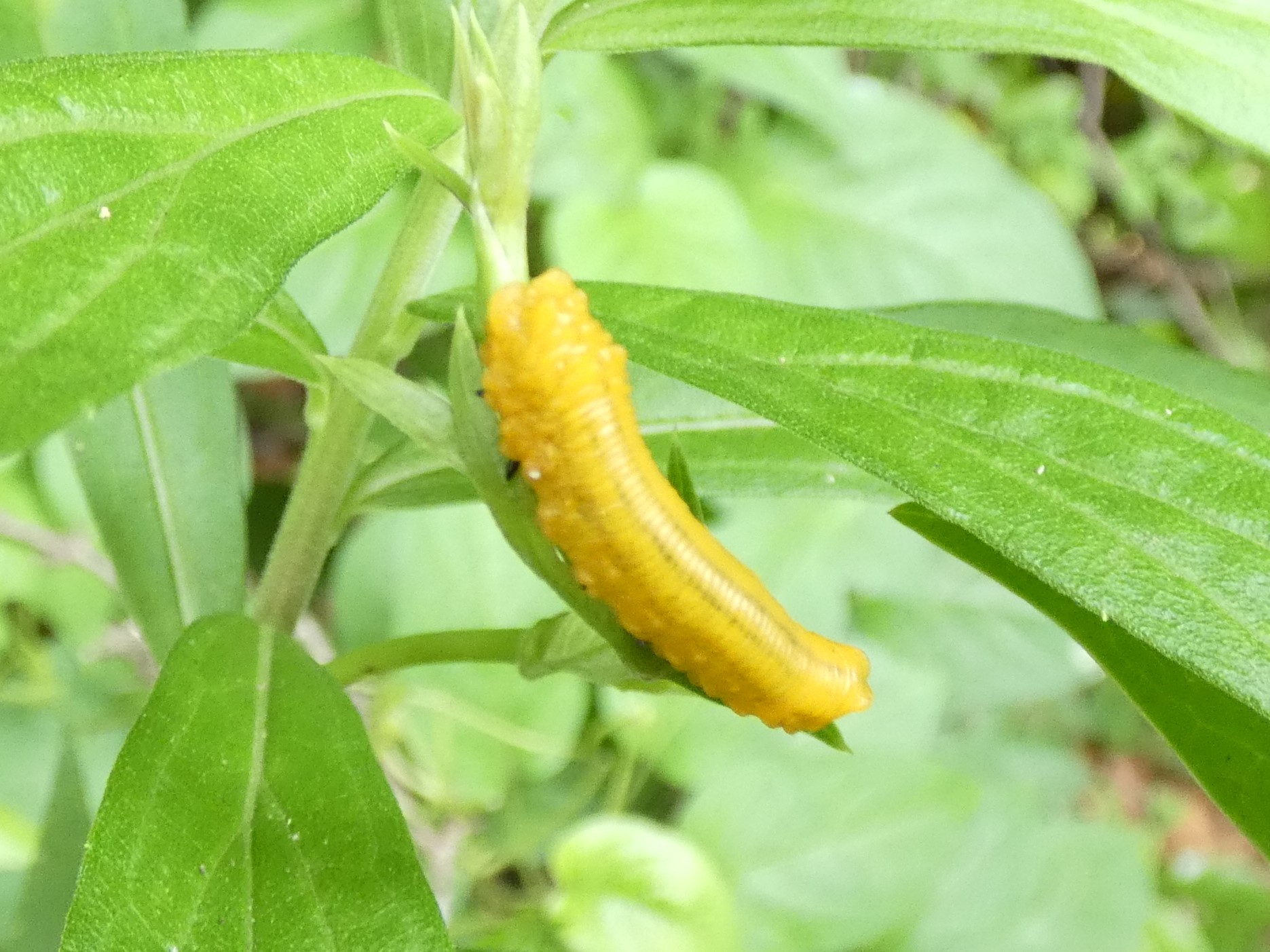 photo_2
